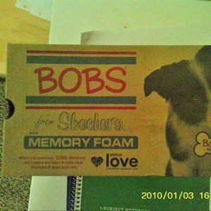 Bob's canvas from Skechers with memory foam